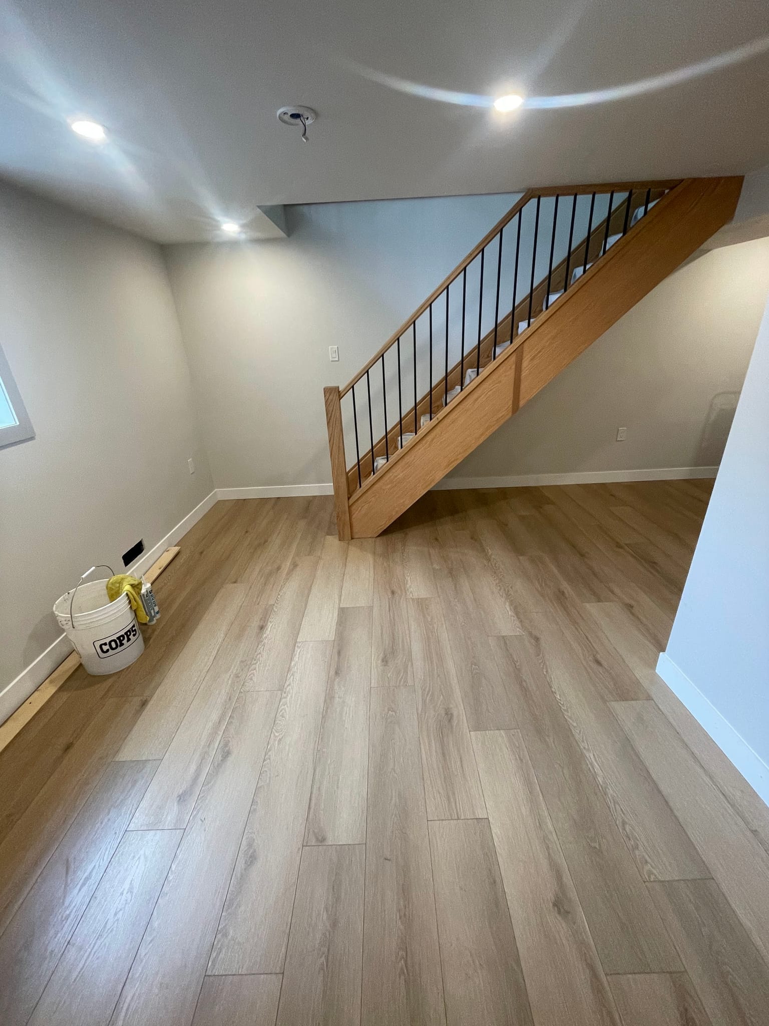 Basement Open Area